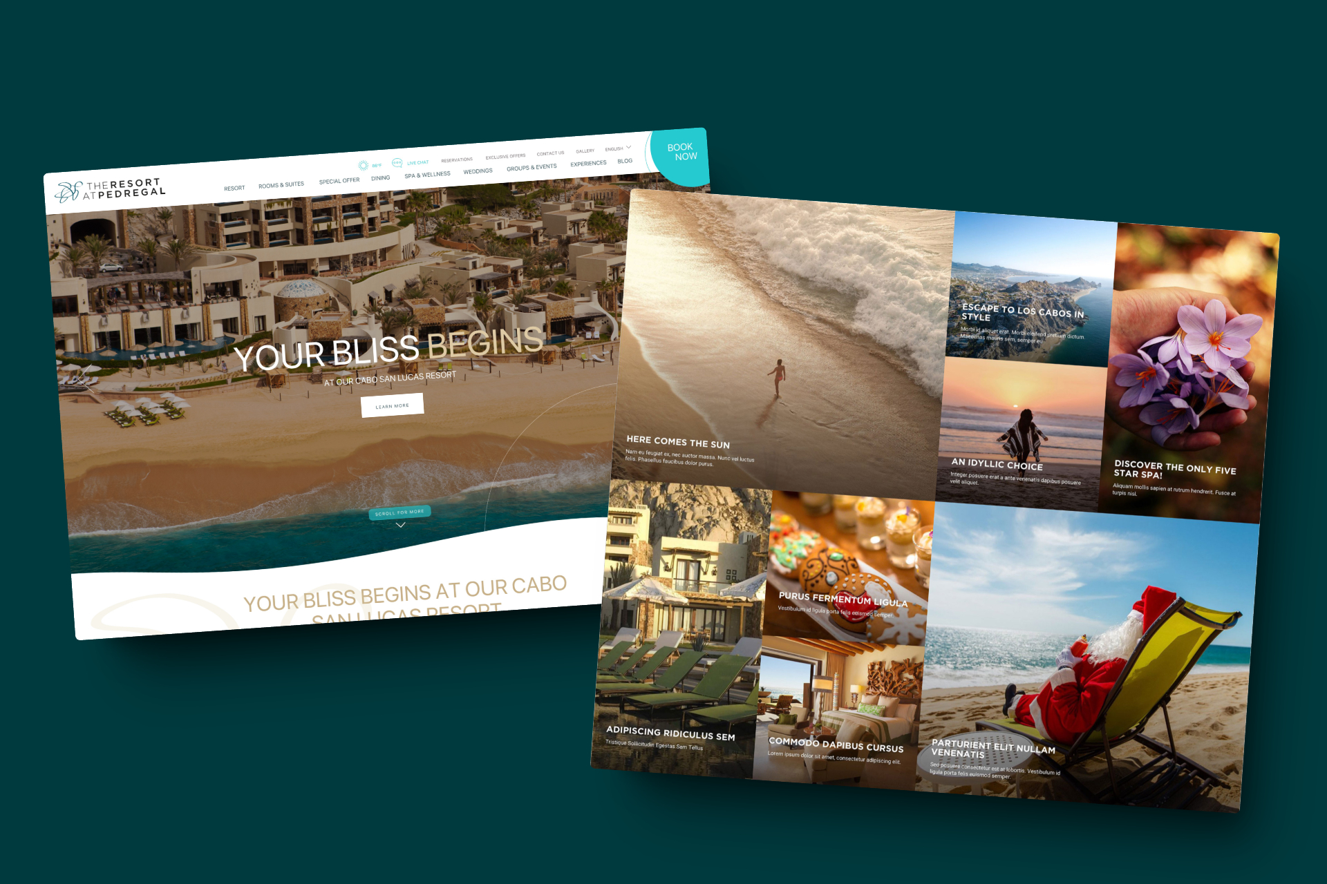 The Resort at Pedregal