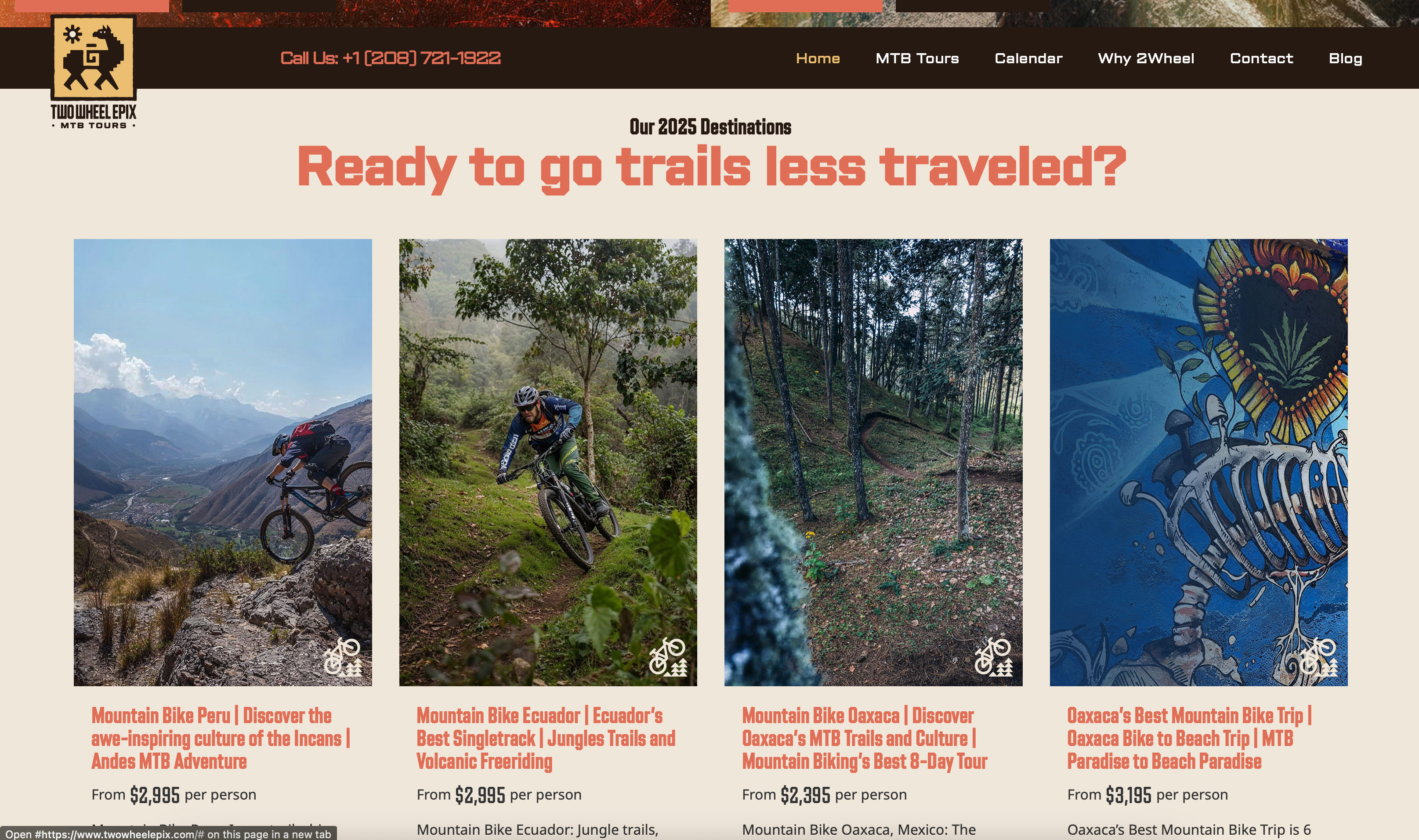2Wheel Epix Website Redesign